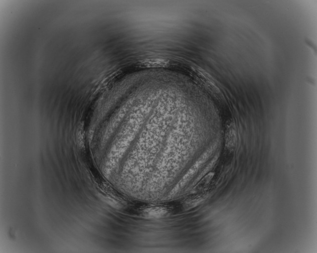 X0000091680604200709131549