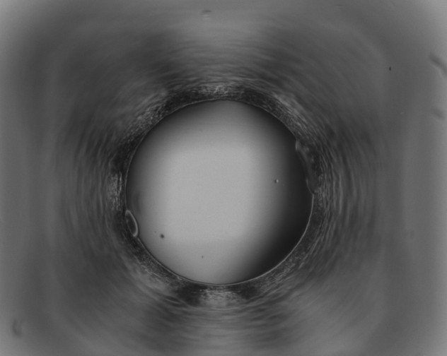 X0000091680605200709131549