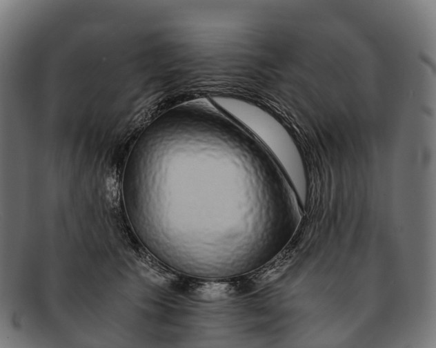 X0000091680609200709131549