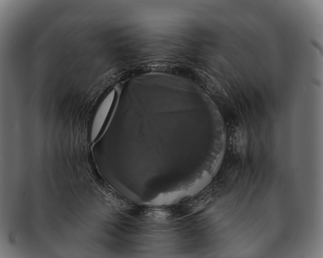 X0000091680610200709131549