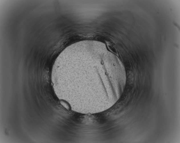 X0000091680612200709131549