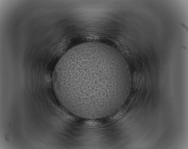 X0000091680614200709131549