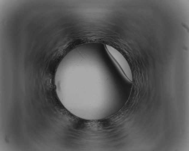 X0000091680615200709131549