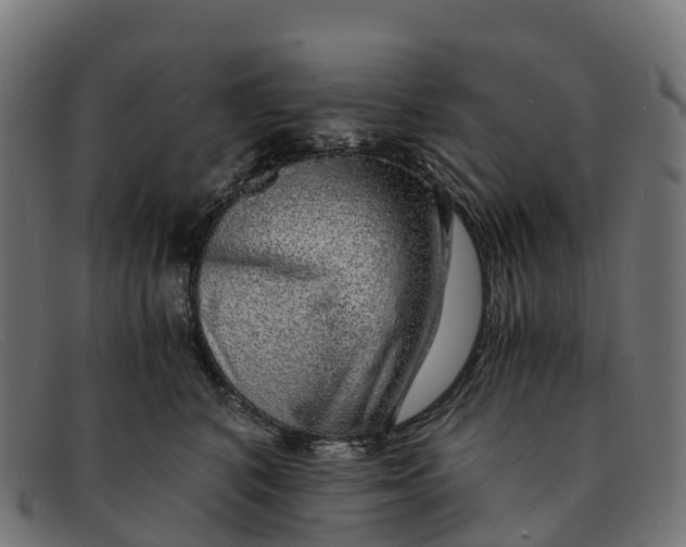 X0000091680616200709131548