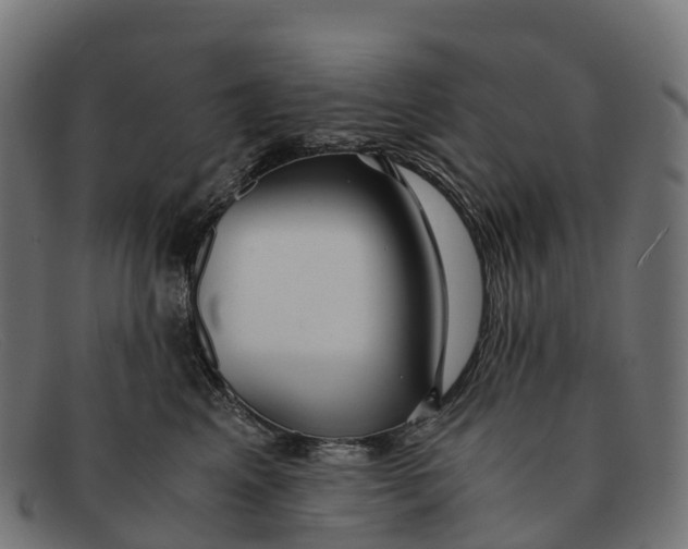 X0000091680617200709131548