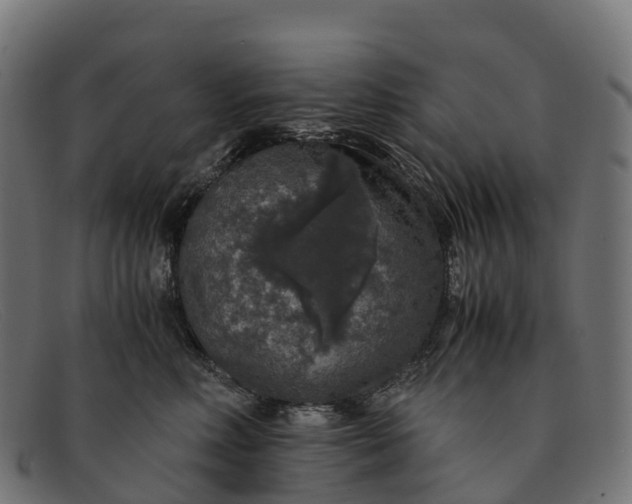 X0000091680618200709131548