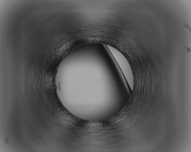 X0000091680619200709131548