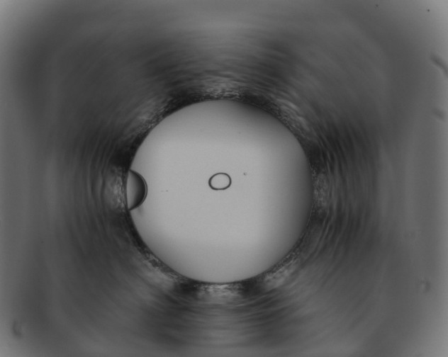 X0000091680622200709131548