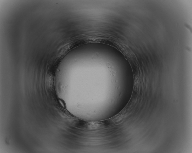 X0000091680623200709131548