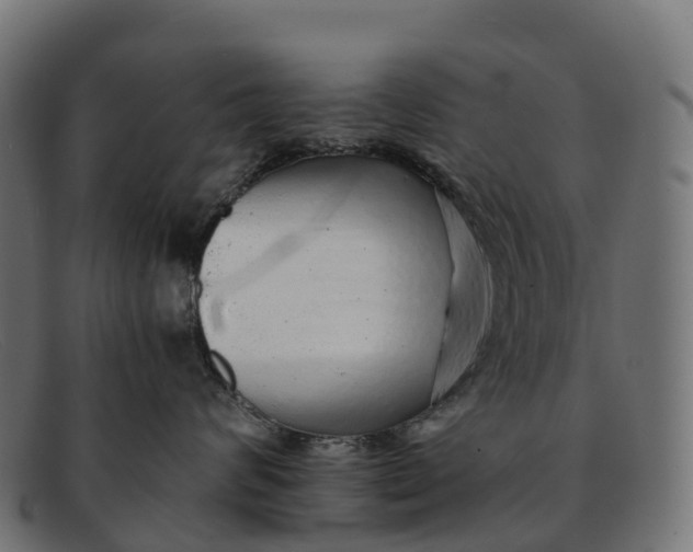 X0000091680624200709131548