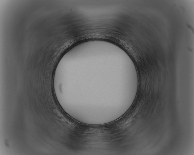 X0000091680625200709131548