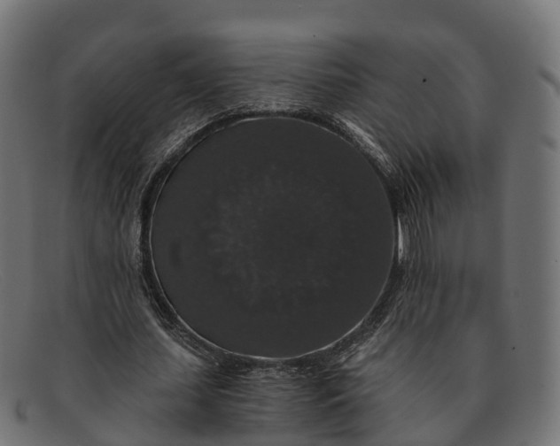 X0000091680627200709131548