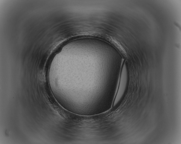 X0000091680628200709131548