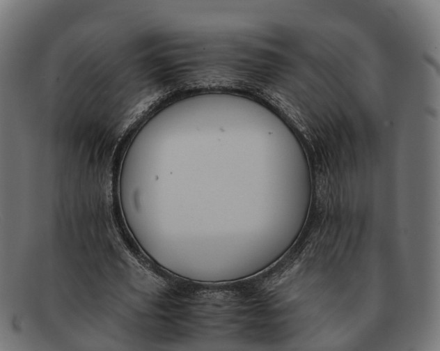 X0000091680629200709131548