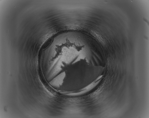 X0000091680630200709131548