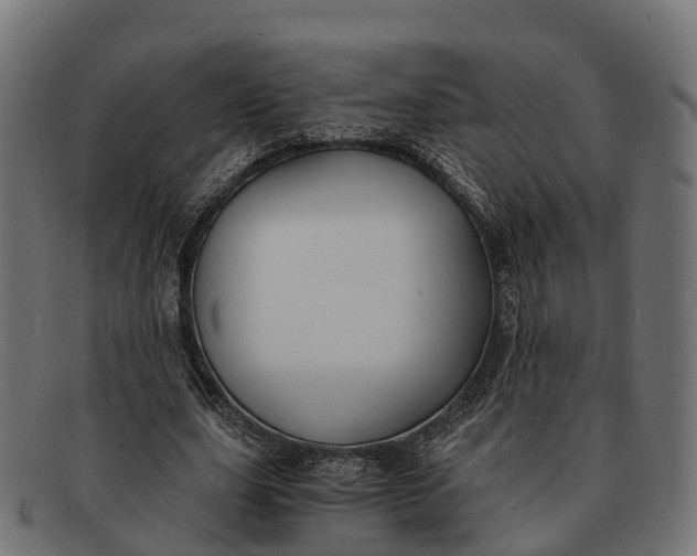 X0000091680631200709131548