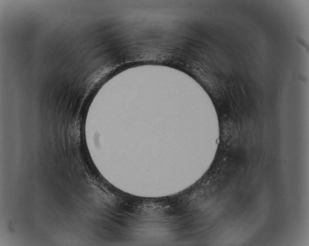 X0000091680632200709131548