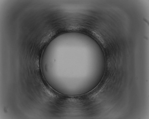 X0000091680633200709131548