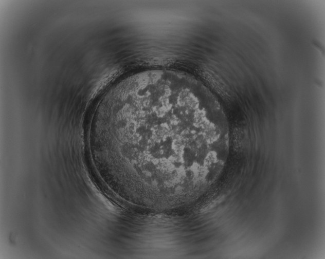 X0000091680634200709131548