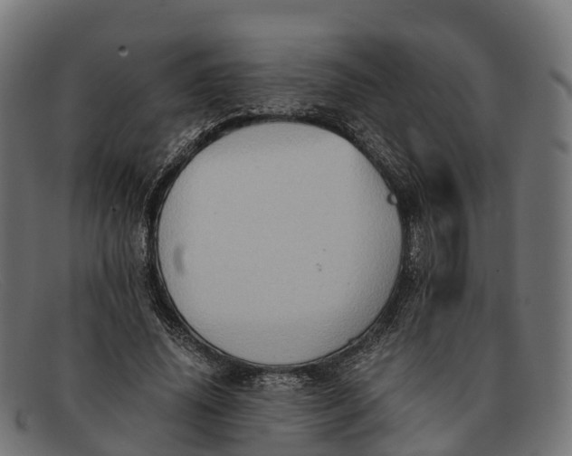 X0000091680636200709131548