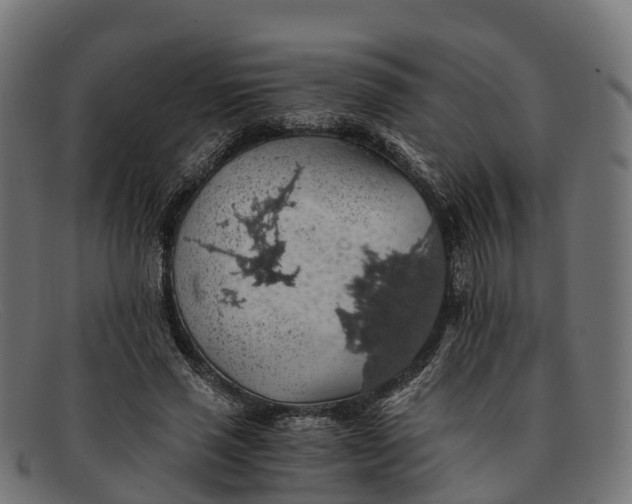 X0000091680637200709131548