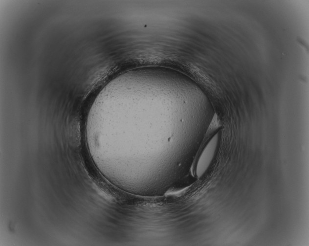 X0000091680638200709131548