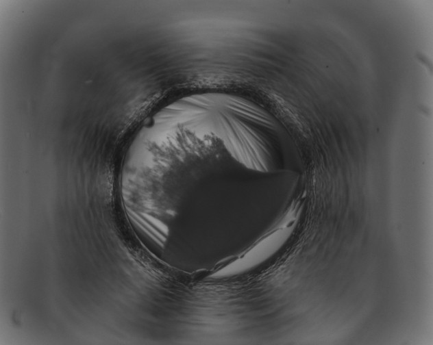 X0000091680640200709131548