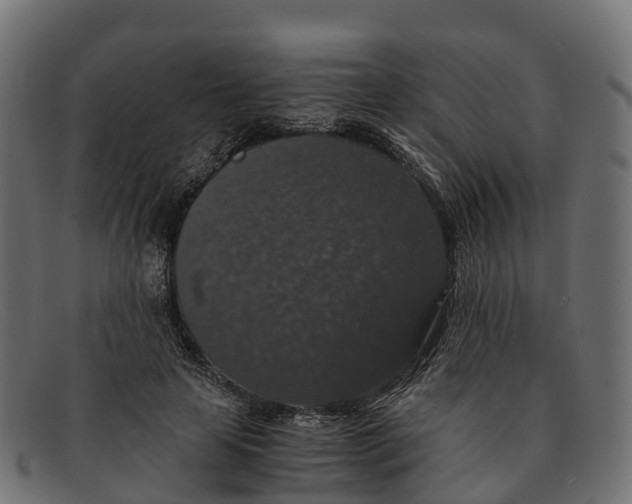 X0000091680641200709131548