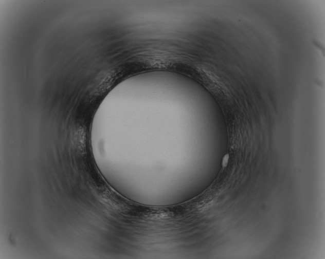 X0000091680646200709131548