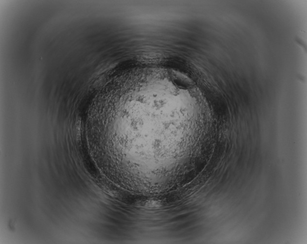 X0000091680647200709131548