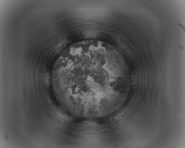 X0000091680648200709131548