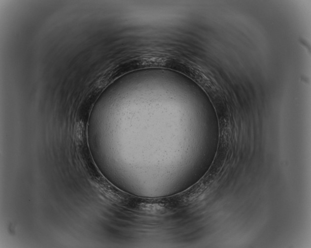 X0000091680649200709131548