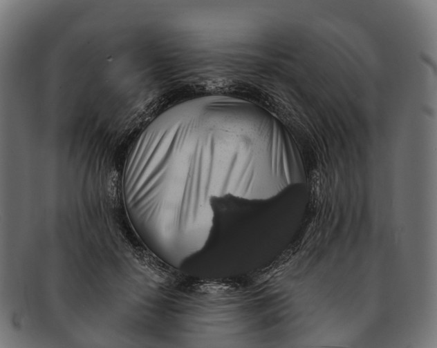 X0000091680650200709131548