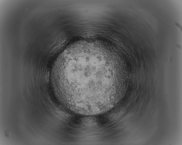 X0000091680652200709131548