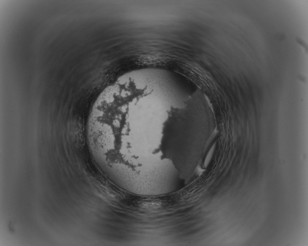 X0000091680653200709131548