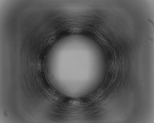 X0000091680655200709131548