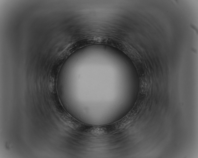 X0000091680656200709131548