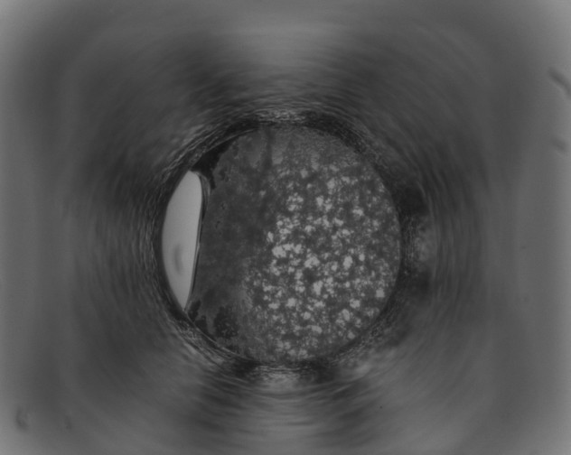 X0000091680658200709131548