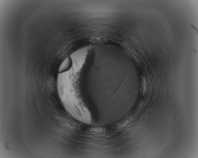 X0000091680659200709131548