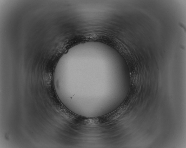 X0000091680660200709131548