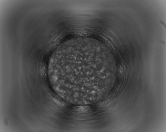 X0000091680663200709131548