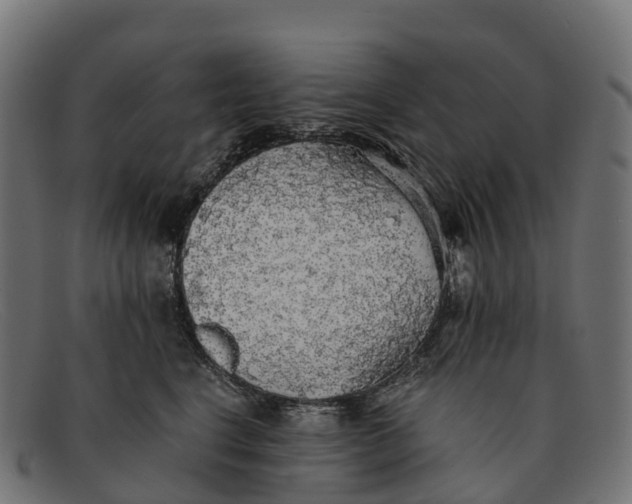 X0000091680664200709131548