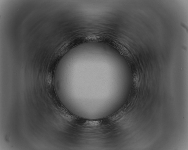 X0000091680665200709131548