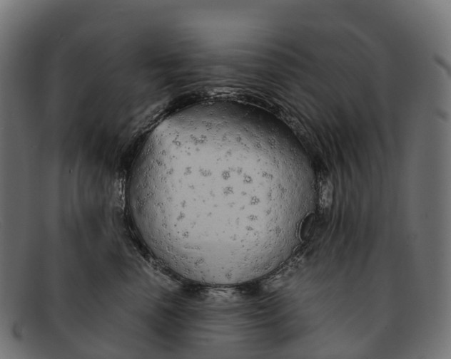 X0000091680666200709131548