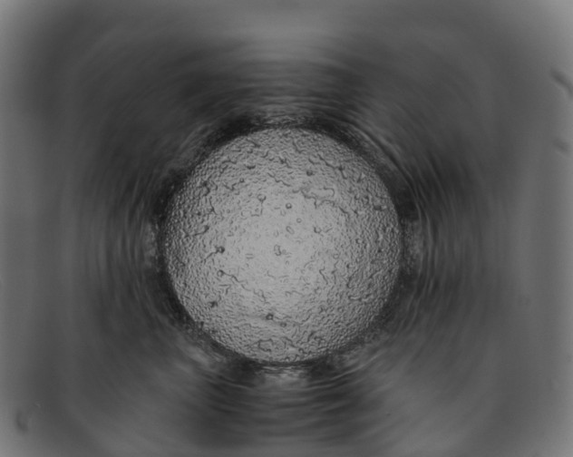 X0000091680667200709131548