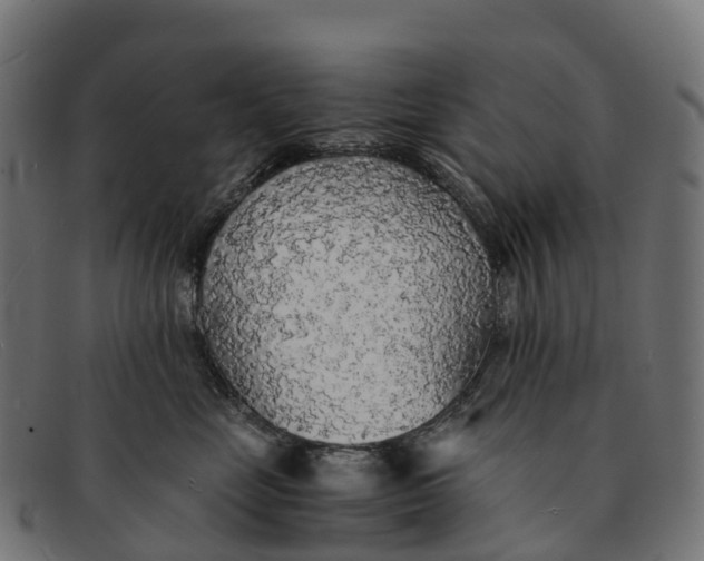 X0000091680669200709131548