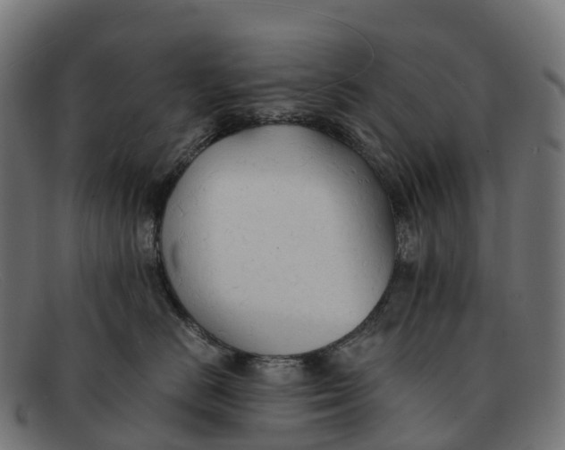 X0000091680670200709131548