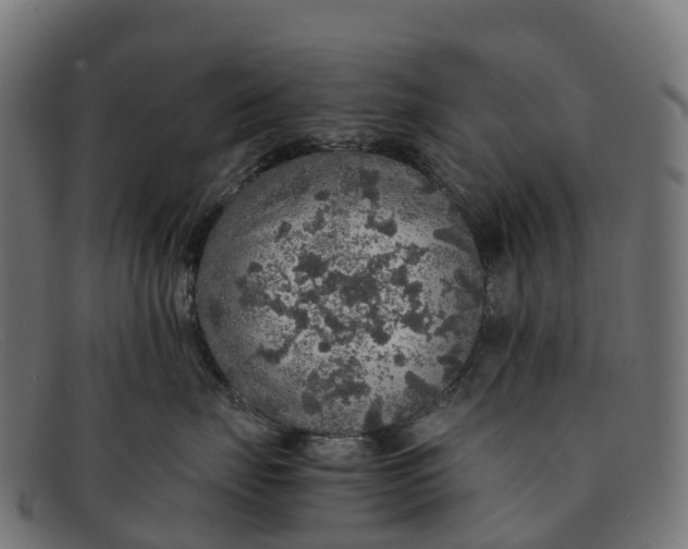 X0000091680671200709131548