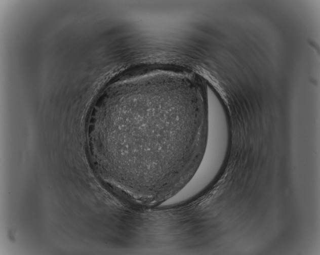 X0000091680673200709131548