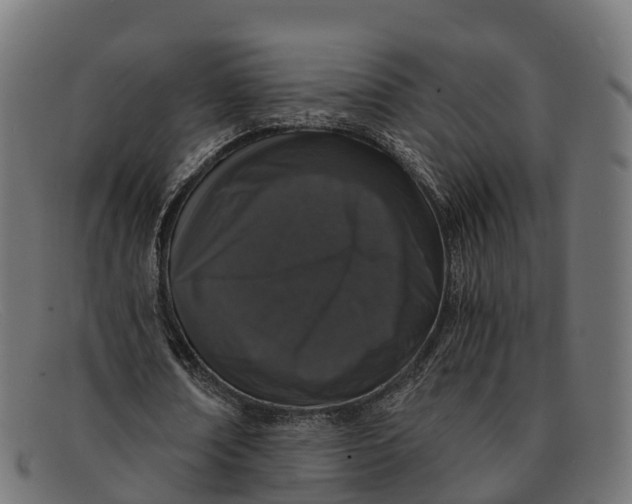 X0000091680674200709131548